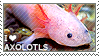 axolotl stamp