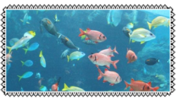 fishies stamp