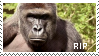 harambe stamp